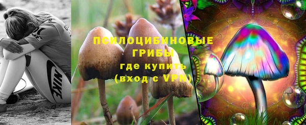 молекула духа Володарск