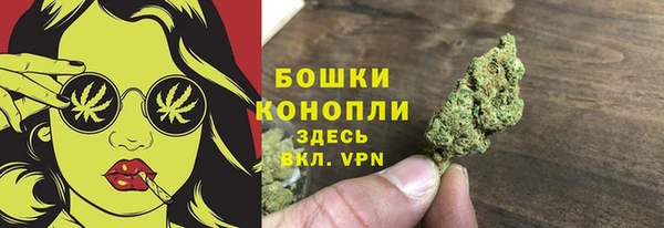 ПСИЛОЦИБИНОВЫЕ ГРИБЫ Сосновый Бор