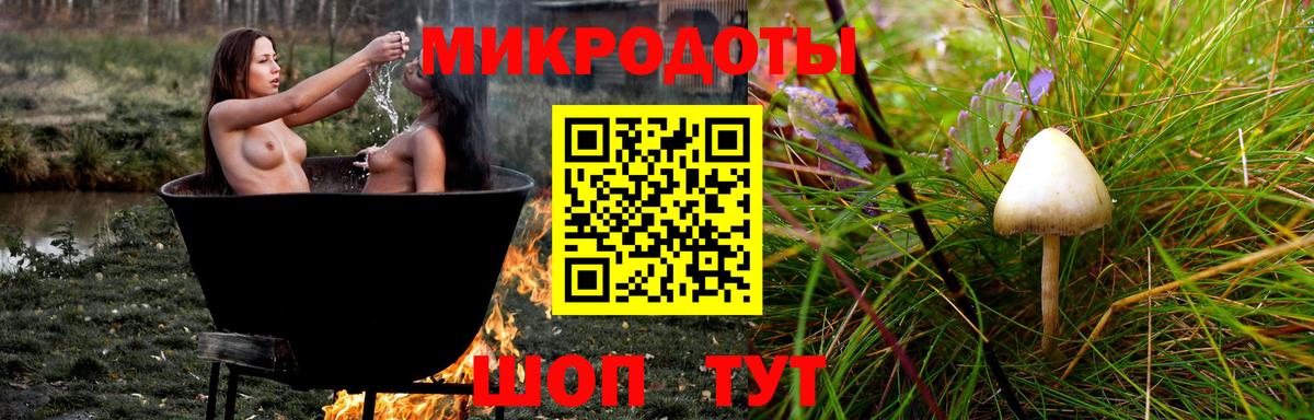 Галлюциногенные грибы ЛСД Муром
