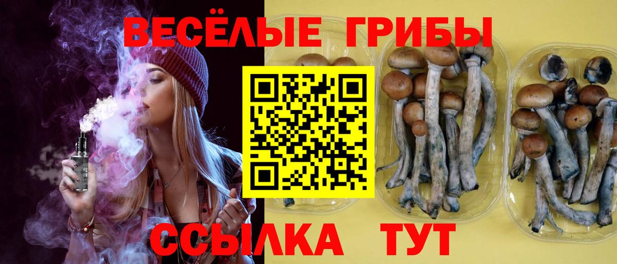 Муром  Галлюциногенные грибы Cubensis  Вход с VPN  Псилоцибиновые грибы Cubensis 